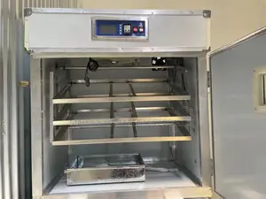 Eggs Incubator