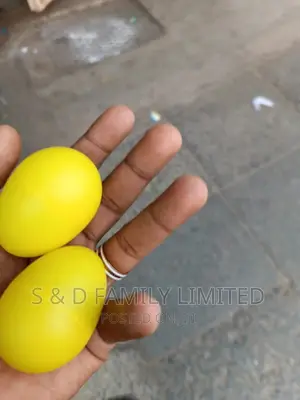 Egg Shakers