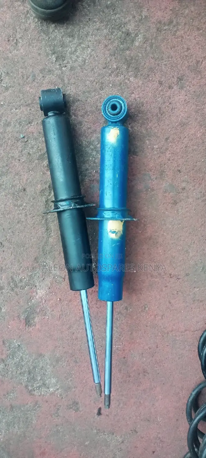 Toureg Rear Shocks