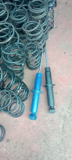 Toureg Rear Shocks