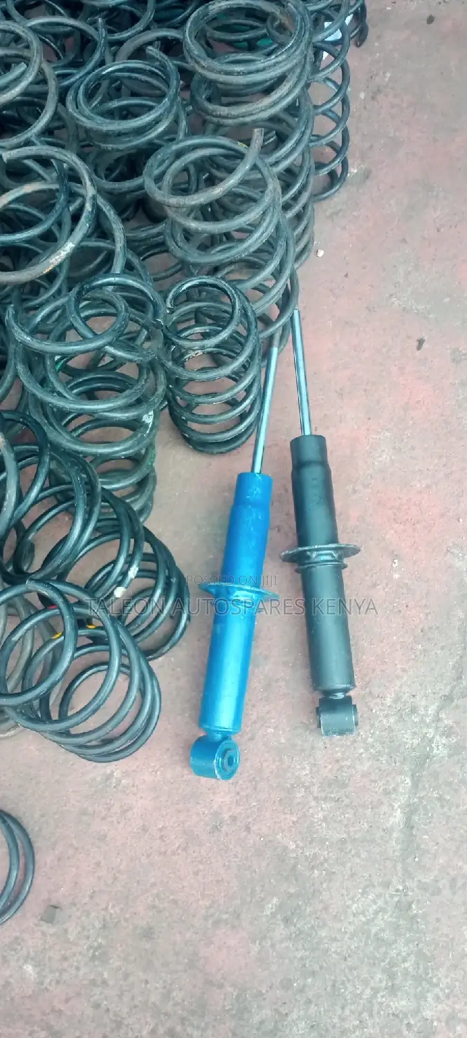 Toureg Rear Shocks