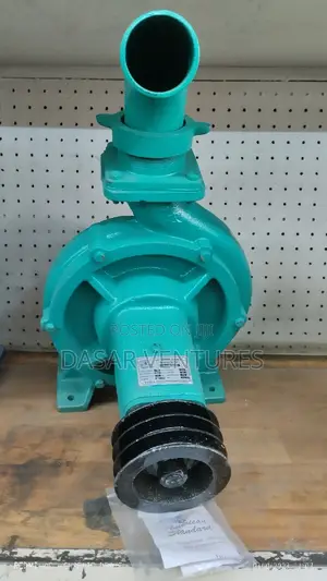 Bare Pump 3"