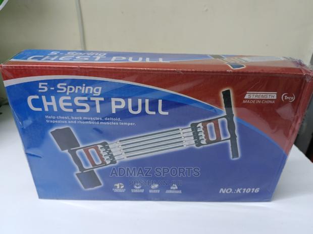 5 Spring Chest Pull - main view