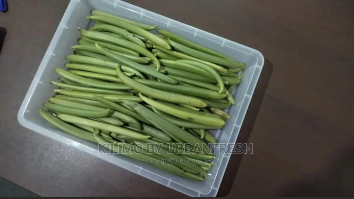 Vanilla Seedlings . Moq 5