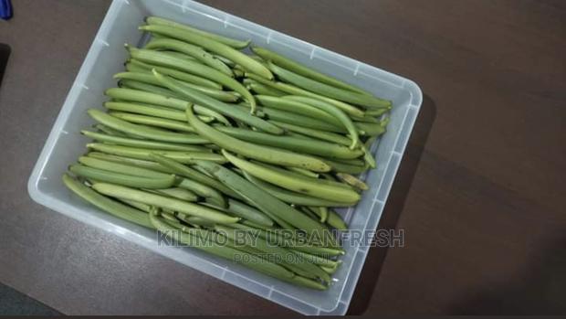 Vanilla Seedlings . Moq 5 - thumbnail 3