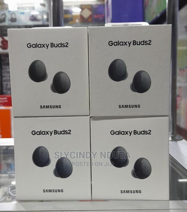 Samsung Galaxy Buds 2 - main view