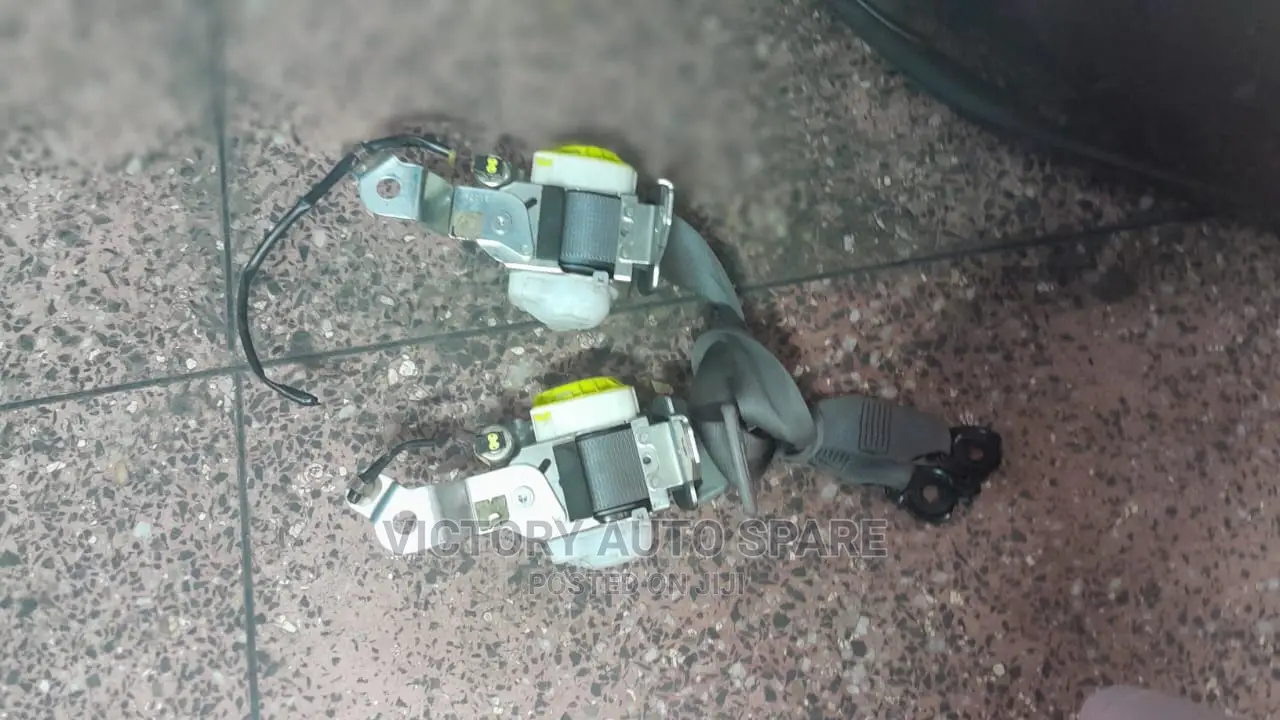 Axio Safety Belts 161(2012,2013,2014)