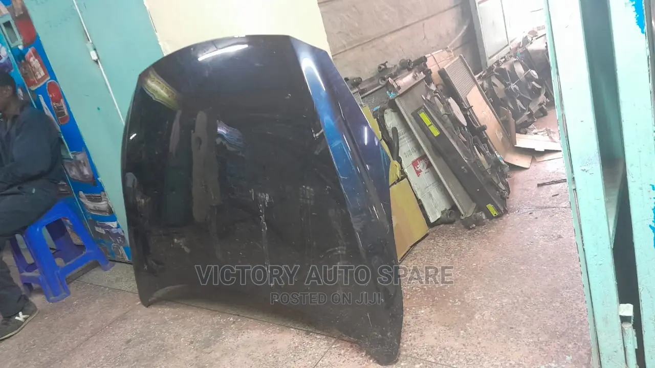 Demio Bonnet 2015/2016