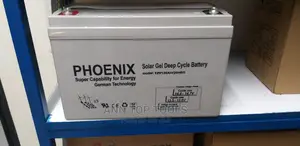 Phoenix 120 AH Deep Cycle Battery