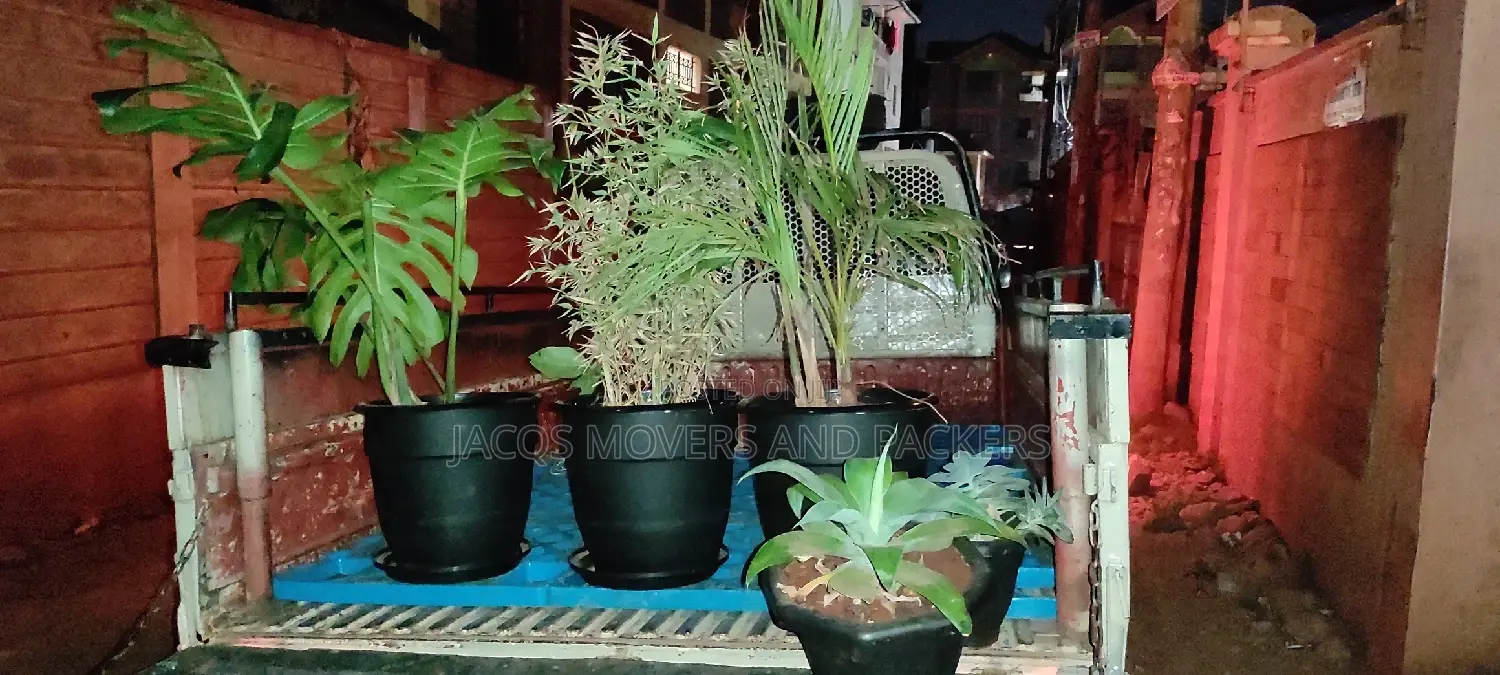 Transport/ Movers in Kinoo, Regen, 87, Uthiru Gitaru