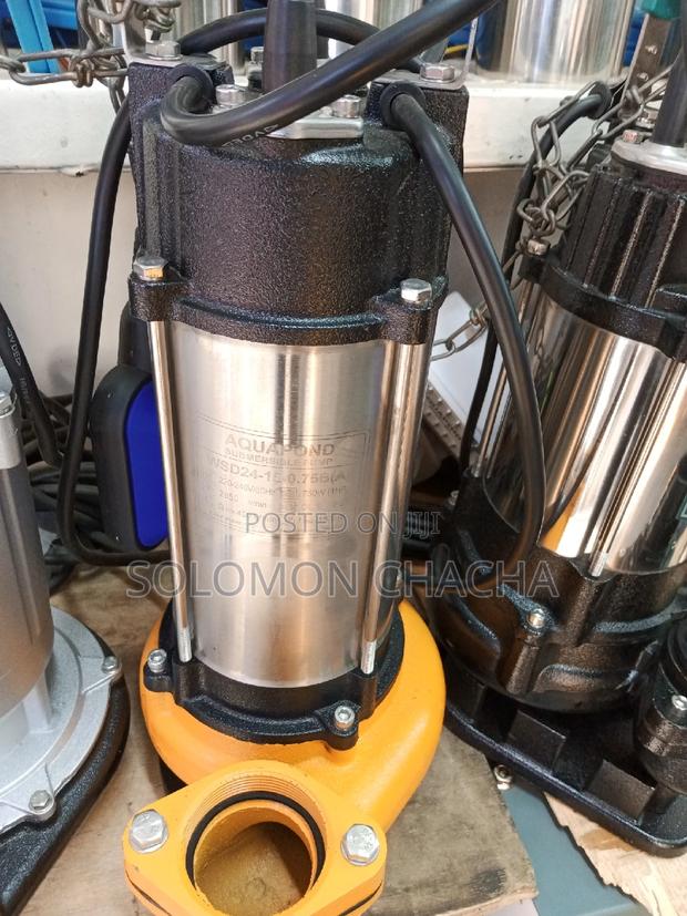 Aquapond 1hp Sewage Submersible Pump - main view