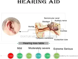 Axon K-188 Hearing Aids In-Ear Mini Invisible Sound Amplifie