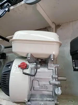 Honda GP160 Vibrator
