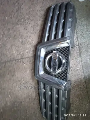 Nissan Dualis 2011 Grille.