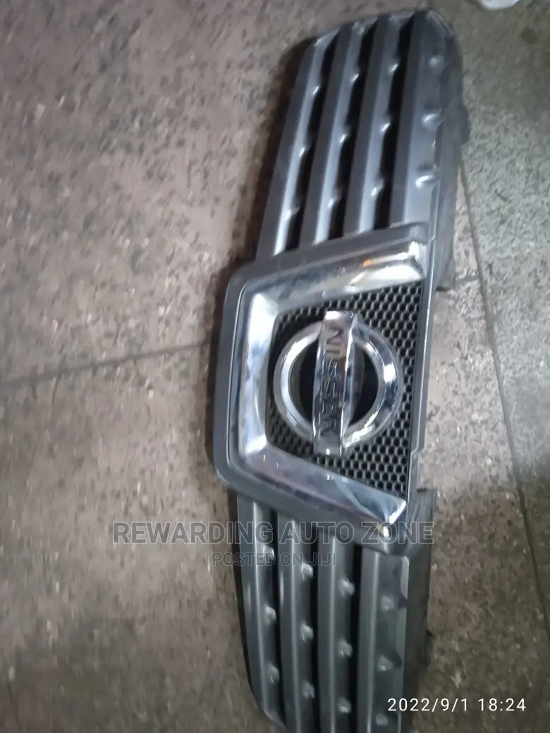 Nissan Dualis 2011 Grille.