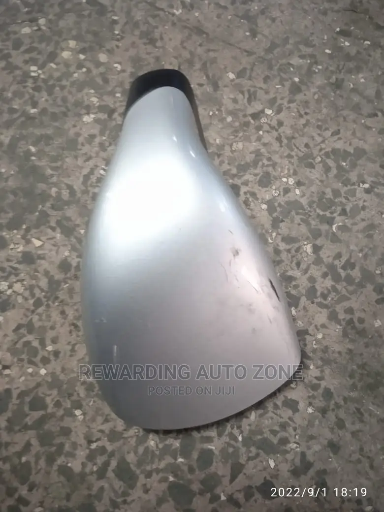 Ex Trail Nt30 2005 Wing Mirror