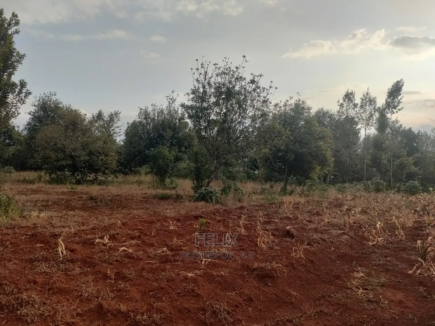 Nyeri/ Gatitu,Githiru 1/4 Plots on Sale