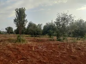 Nyeri/ Gatitu,Githiru 1/4 Plots on Sale