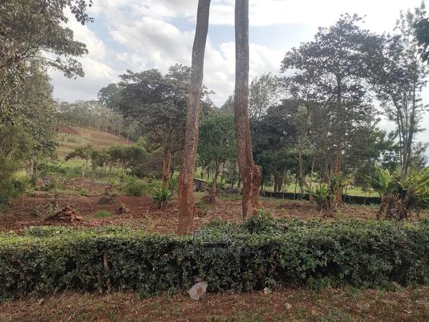 1 Acre Nyeri/ Skuta Touching Tarmac - thumbnail 2