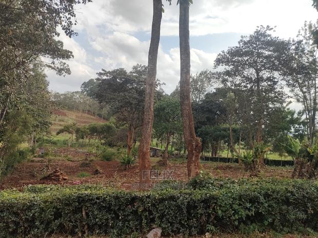 1 Acre Nyeri/ Skuta Touching Tarmac - thumbnail 3