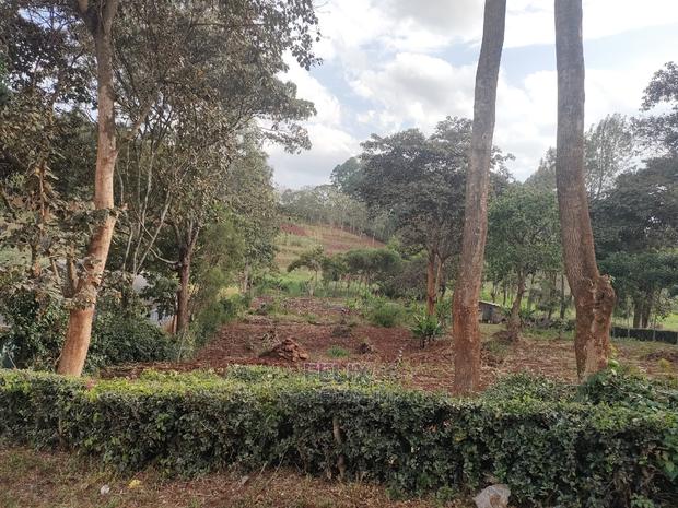 1 Acre Nyeri/ Skuta Touching Tarmac - thumbnail 4