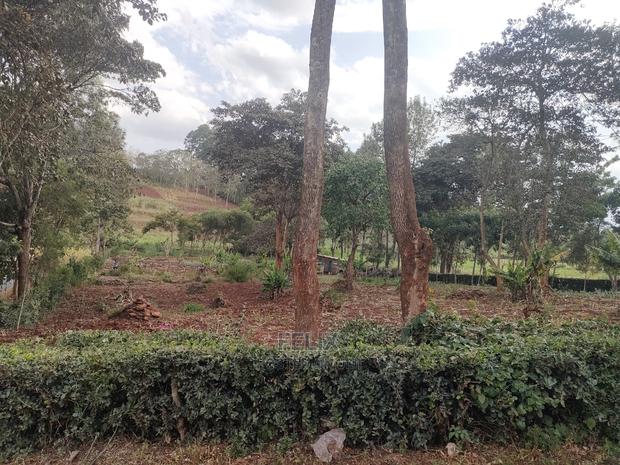 1 Acre Nyeri/ Skuta Touching Tarmac - thumbnail 10