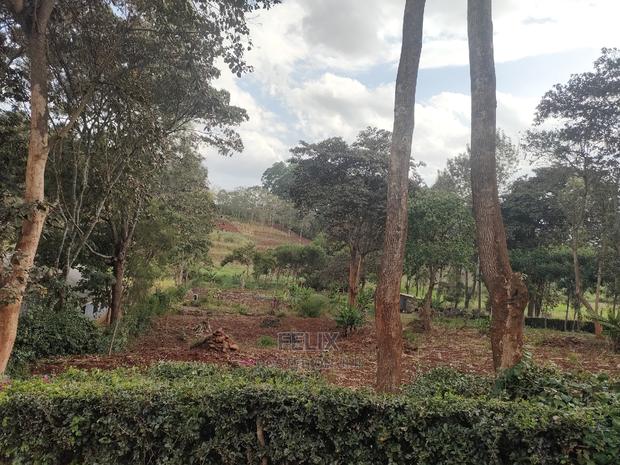 1 Acre Nyeri/ Skuta Touching Tarmac - thumbnail 11