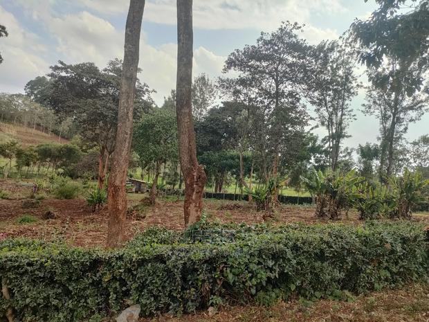 1 Acre Nyeri/ Skuta Touching Tarmac - thumbnail 12