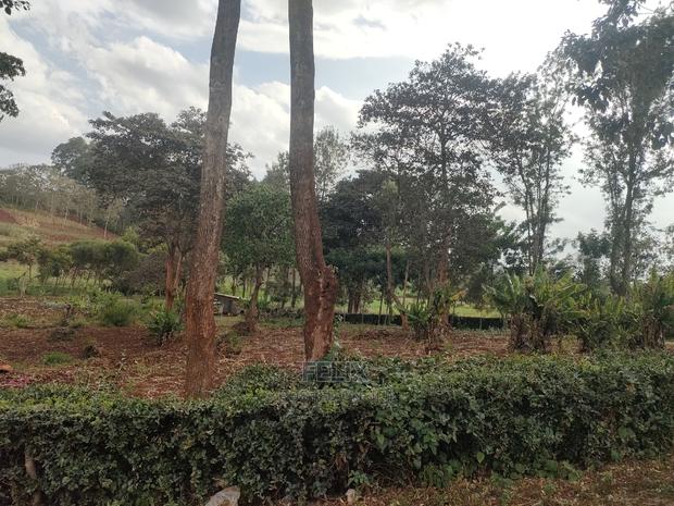 1 Acre Nyeri/ Skuta Touching Tarmac - thumbnail 13