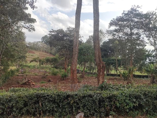 1 Acre Nyeri/ Skuta Touching Tarmac - thumbnail 14