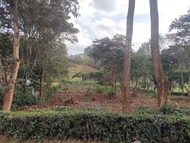 1 Acre Nyeri/ Skuta Touching Tarmac - thumbnail 15