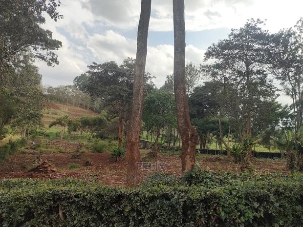 1 Acre Nyeri/ Skuta Touching Tarmac - thumbnail 19