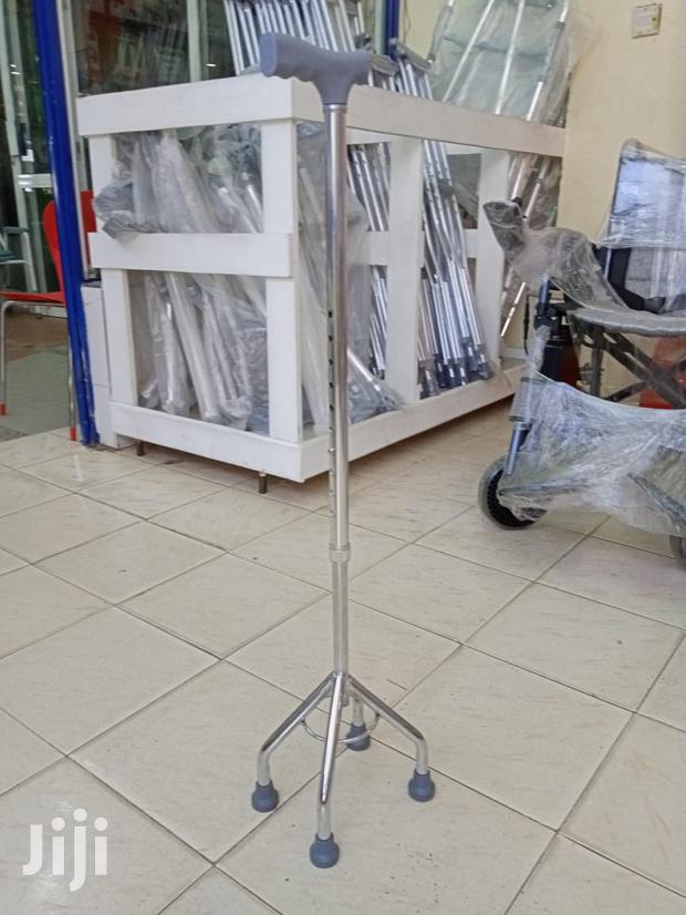 Walking Stick (Tripod) - main view