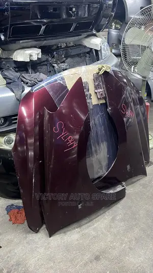 Nissan Sylphy Wing/Fender 2014