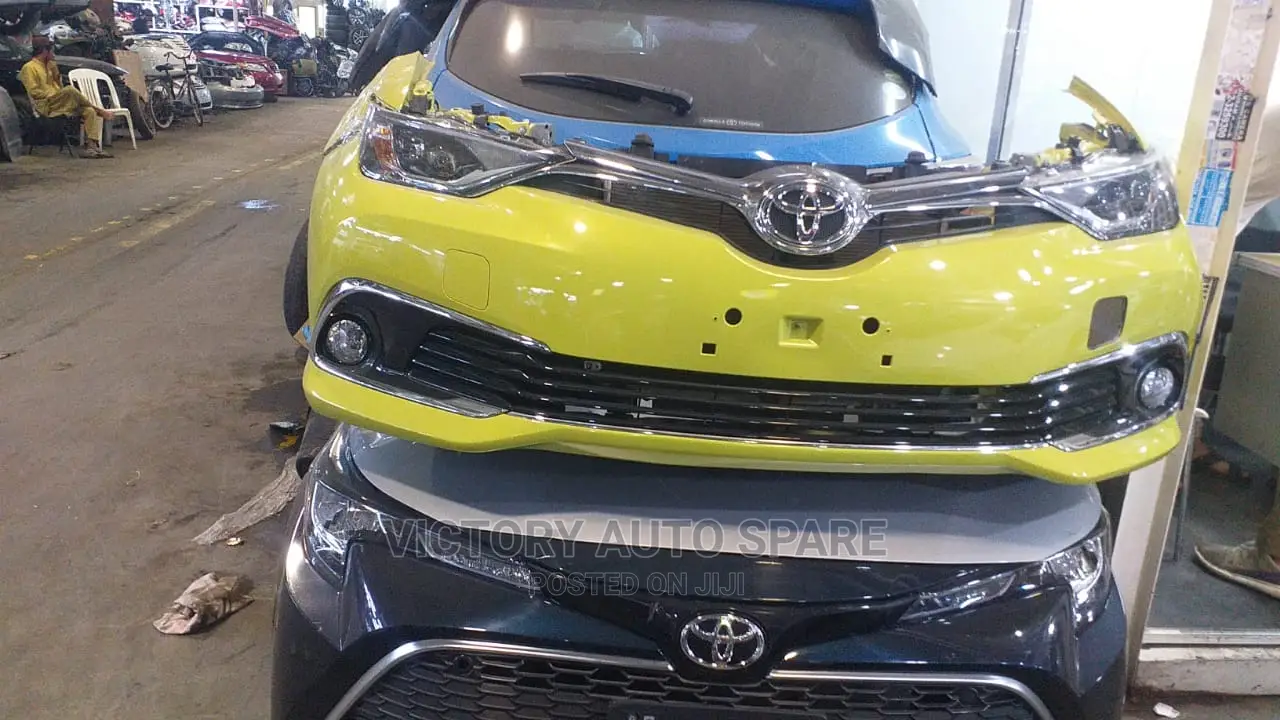 Auris Nosecut 2015/2016
