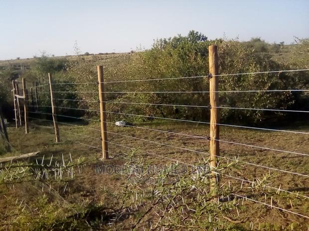 Electric Fence - thumbnail 2