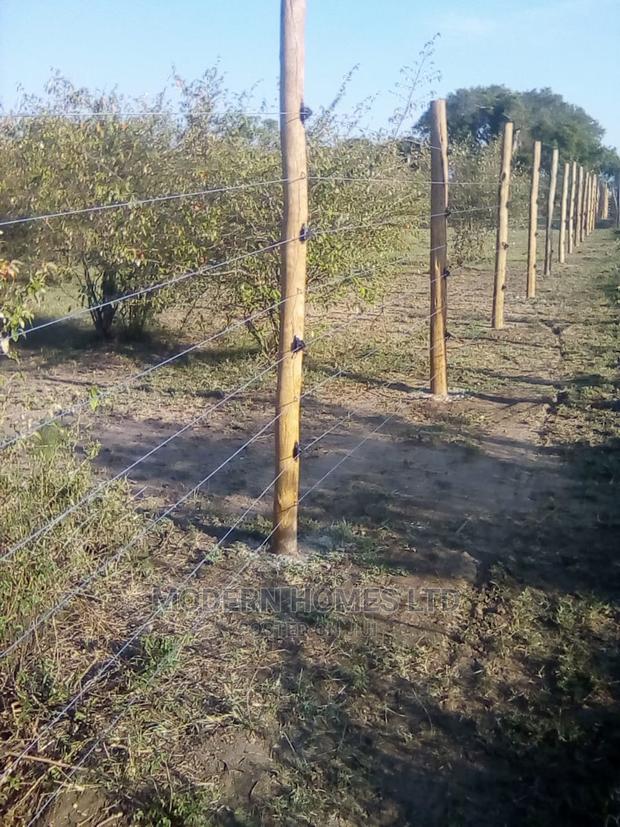 Electric Fence - thumbnail 4