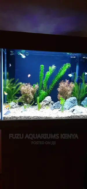 Assorted Live Plants