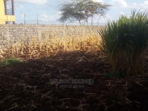 Ruiru Mugutha Spring Valley Estate Plot - thumbnail 2