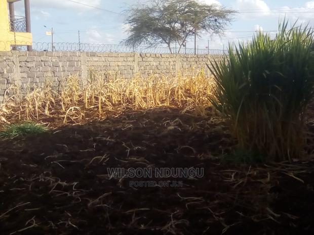Ruiru Mugutha Spring Valley Estate Plot - main view