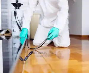 Bed Bugs,Coakroach,Flies,Mosquito Fumigation Services