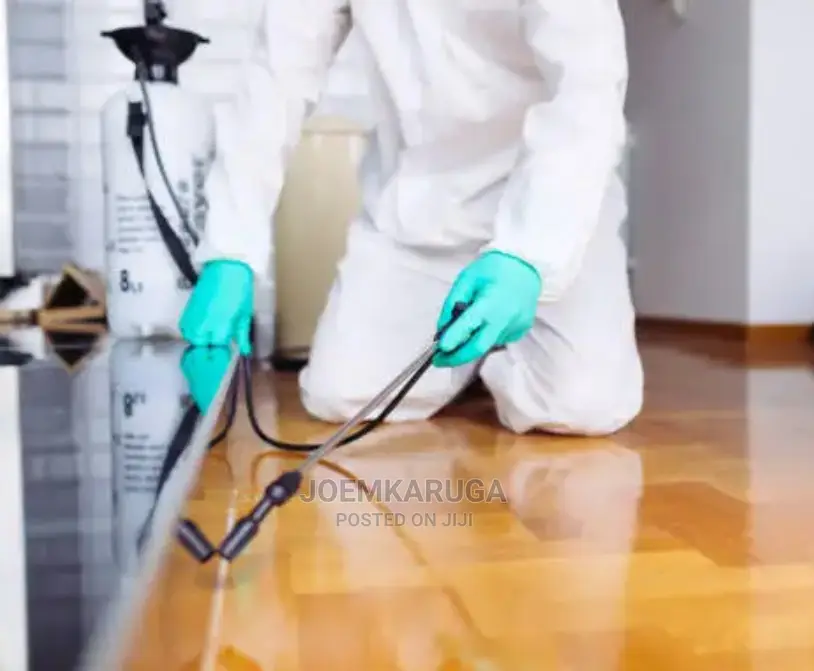 Bed Bugs,Coakroach,Flies,Mosquito Fumigation Services