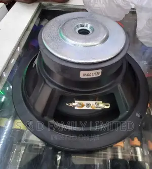 NN 8 Inch Woffer Speaker