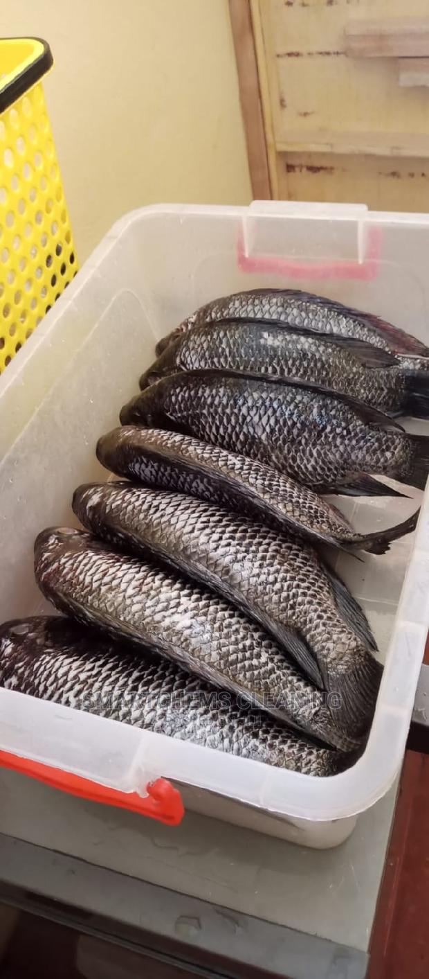 Fresh Fish - main view