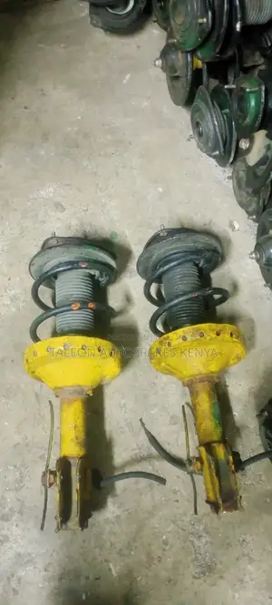 Subaru Blistain Shocks