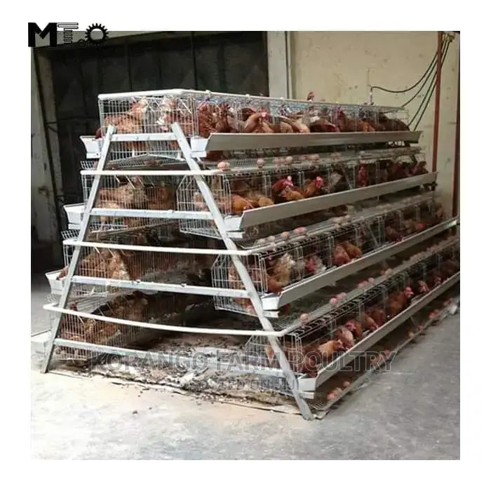 Battery Chicken Cages