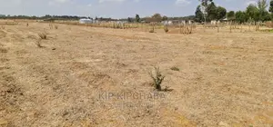 1⁄8 Plot for Sale in Illula Behind Centre in Eldoret