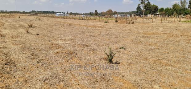 1⁄8 Plot for Sale in Illula Behind Centre in Eldoret - thumbnail 3