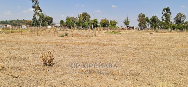 1⁄8 Plot for Sale in Illula Behind Centre in Eldoret - thumbnail 8