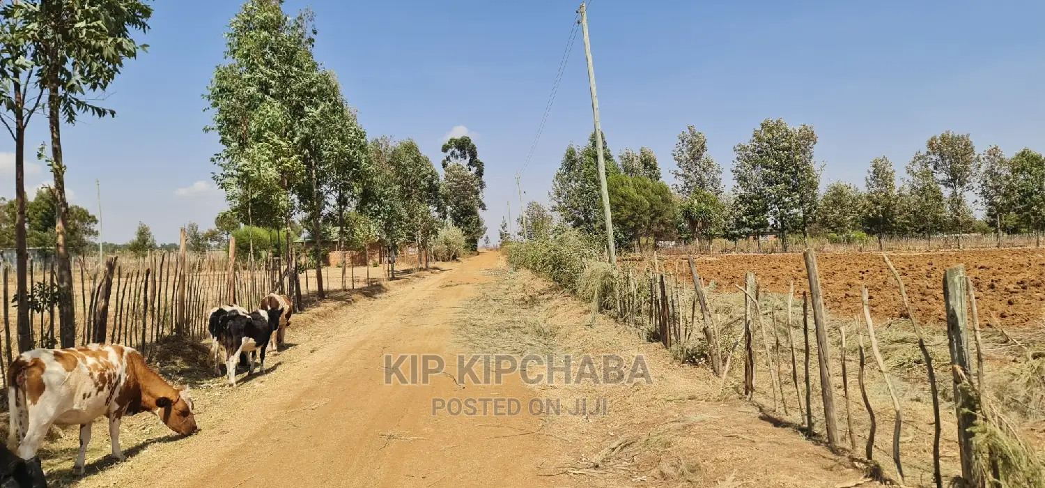1⁄8 Plot for Sale in Illula Behind Centre in Eldoret